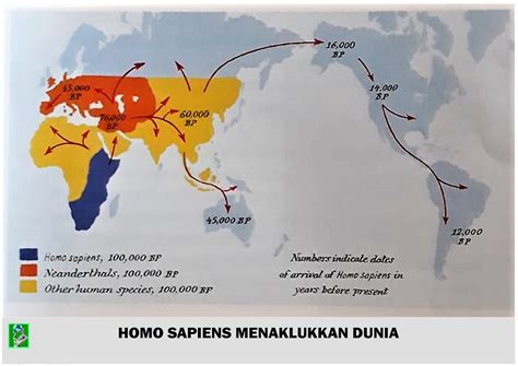 Kenapa Homo Sapiens Bisa Bertahan - muktibox.com