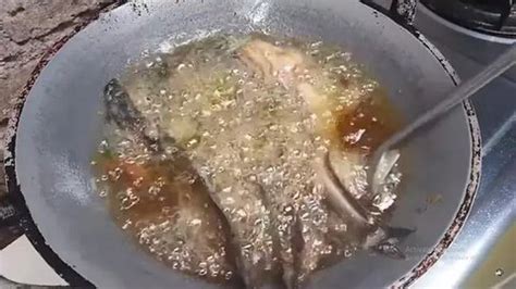 Kenapa Lele Takut Garam - muktibox.com