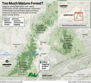 Kentucky Residents Angered by US Forest Service Logging Plan That ... - raincitystudios.com