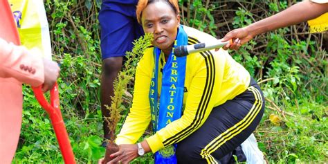 Kenya Launches Ambitious Reforestation Drive to Combat Climate Crisis - raincitystudios.com