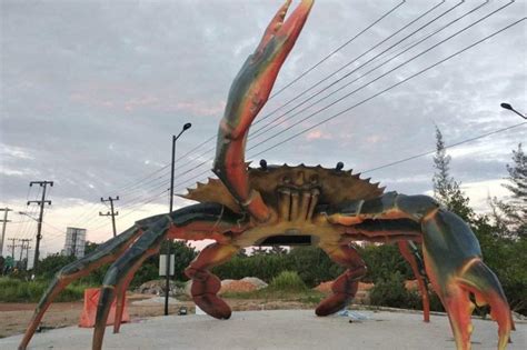 Kepiting Raksasa - muktibox.com