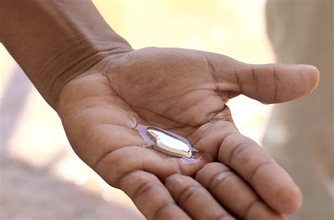 Keracunan Merkuri - Gejala, Penyebab, dan Pengobatan … - wintechmobiles.com