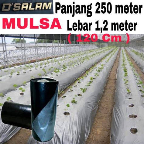 Keragaman Populasi Gulma Berdasarkan Aplikasi Mulsa Plastik, Mulsa ... - raincitystudios.com