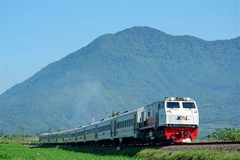 Kereta api peti kemas di Indonesia - Wikipedia bahasa … - coolestguyplanet.net