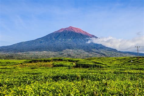 Kerinci Seblat National Park - raincitystudios.com