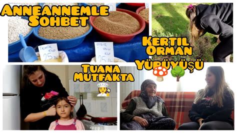 veodersti.rgarabwor.edu.pl. 