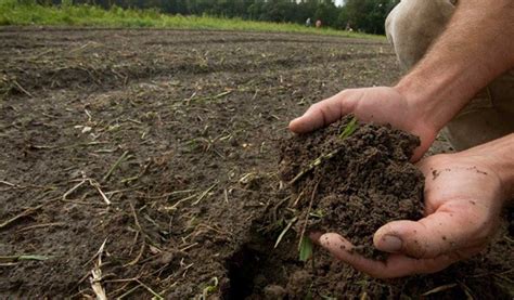 Kesuburan Tanah & Pemupukan (AET210018) - wintechmobiles.com