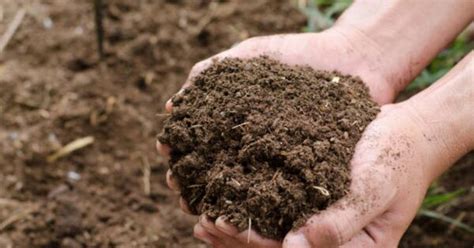 Kesuburan Tanah - wintechmobiles.com