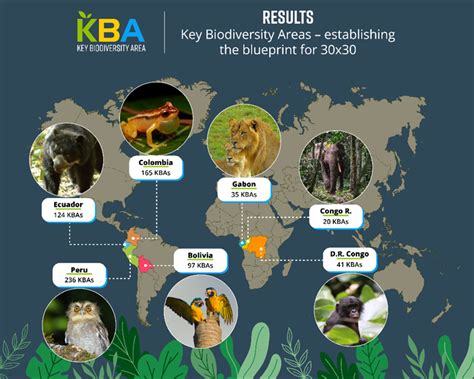 Key Biodiversity Areas - raincitystudios.com