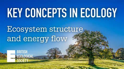 Key Concepts in Ecology: Community structure | - raincitystudios.com