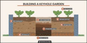 Keyhole Garden : 12 Steps (with Pictures) - Instructables - raincitystudios.com