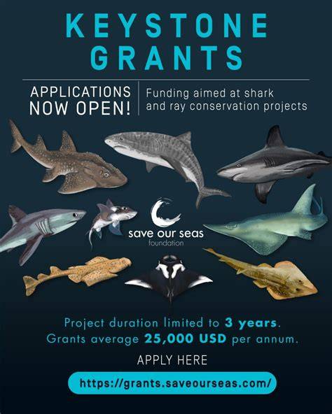 Keystone Grants applications are open - Save … - raincitystudios.com