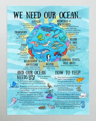 Kids Guide to Ocean and Marine Wildlife Conservation - raincitystudios.com