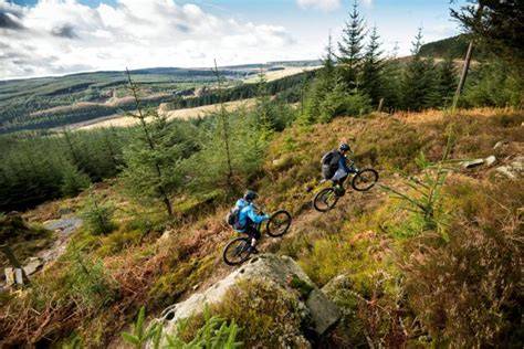 Kielder Forest, Northumberland trail centre guide - MBR - raincitystudios.com