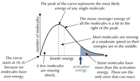 Kinetics and Equilibria Flashcards | Quizlet - wintechmobiles.com