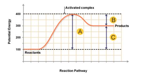 Kinetics and Equilibrium Flashcards | Quizlet - wintechmobiles.com