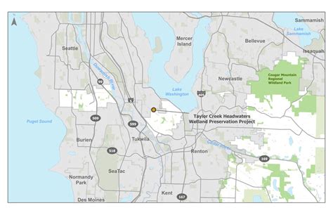 King County wetlands - King County, Washington - wintechmobiles.com