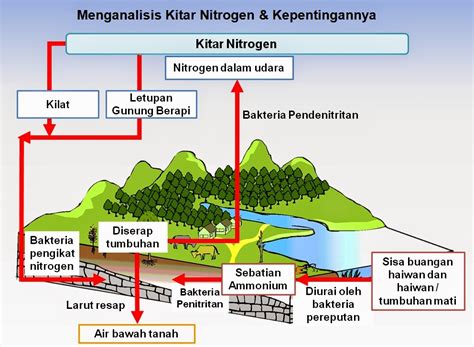 Kitar Nitrogen - Cikgu Hailmi - raincitystudios.com