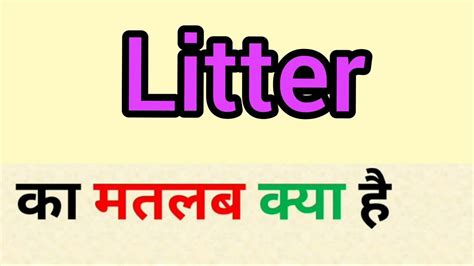 KITTY LITTER Meaning in Hindi - Hindi Translation