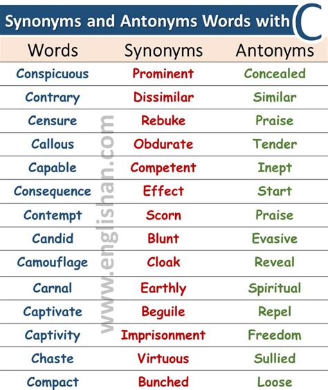 KITTY Synonyms: 3 Synonyms & Antonyms for KITTY