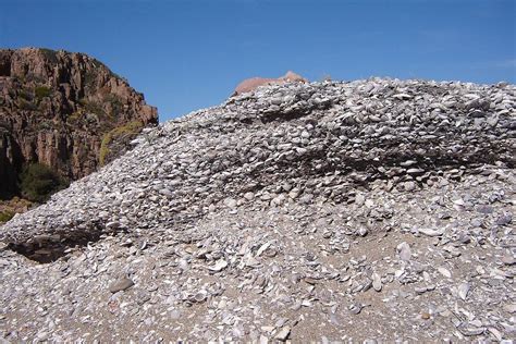 Kjokkenmoddinger & Abris Sous Roche: Mengenal Lebih Dalam Situs … - wintechmobiles.com