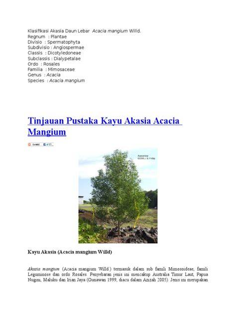 Klasifikasi Akasia Daun Lebar | PDF - Scribd - raincitystudios.com