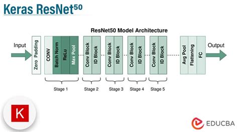 KLASIFIKASI CEPAT MODEL XCEPTIONNET DAN RESNET-50 … - coolestguyplanet.net