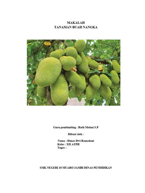 Klasifikasi dan Budidaya Nangka | PDF - Scribd - raincitystudios.com