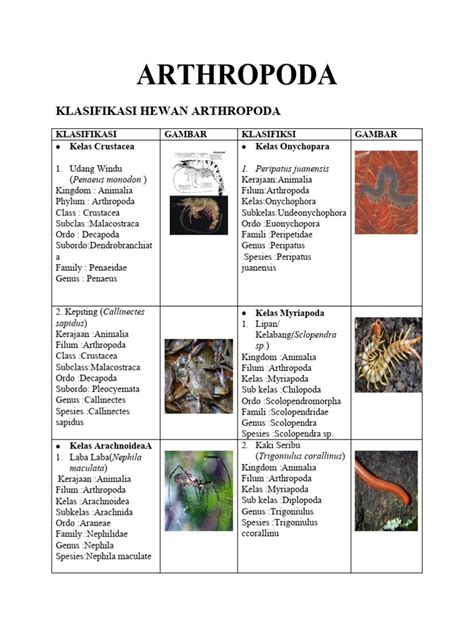 Klasifikasi dan Ciri Arthropoda | PDF | Kajian Bahasa Asing | Sains ... - muktibox.com