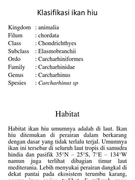 Klasifikasi Hiu - Biologi Laut - Klasifikasi, Anatomi dan Fisiologi ... - raincitystudios.com