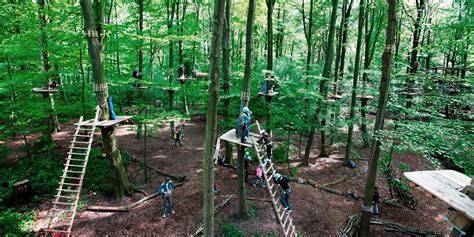 Klimbos Fun Forest - The most fun climbing forests … - raincitystudios.com