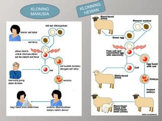 KLONING - Sam Ratulangi University - muktibox.com