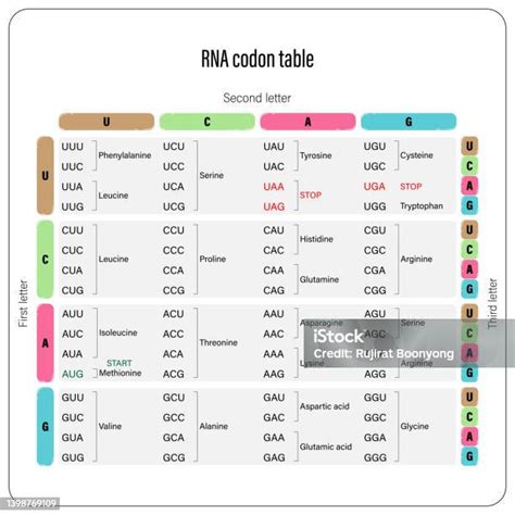 Kode Genetik dalam DNA dan RNA - wintechmobiles.com