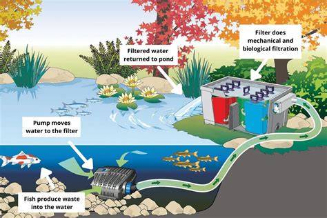 Koi Pond Filtration - raincitystudios.com