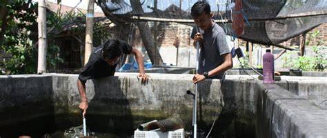 Kolam Semen - Free Download PDF - raincitystudios.com