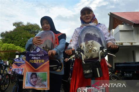 Komunitas Pecinta Statistik Aceh - wintechmobiles.com