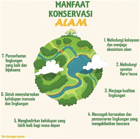Konservasi & Rehabilitasi Lamun (Sea Grass) - Blogger - raincitystudios.com