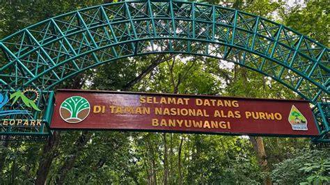 Konservasi Taman Nasional Alas Purwo - Alas Purwo - raincitystudios.com