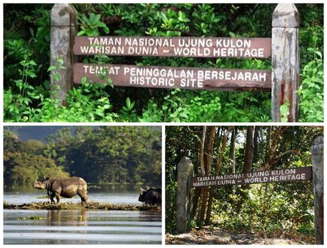 Konservasi Taman Nasional - TAMAN NASIONAL - muktibox.com