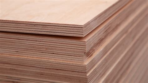 codini.rgarabwor.edu.pl. 