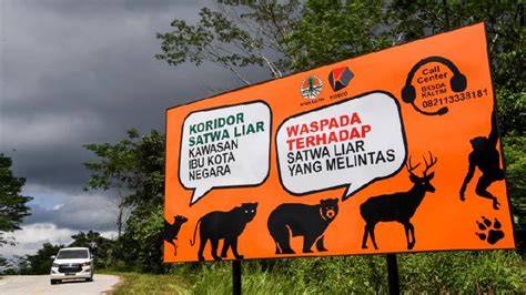 Koridor Ekologi di Indonesia - Wikipedia bahasa Indonesia, … - raincitystudios.com