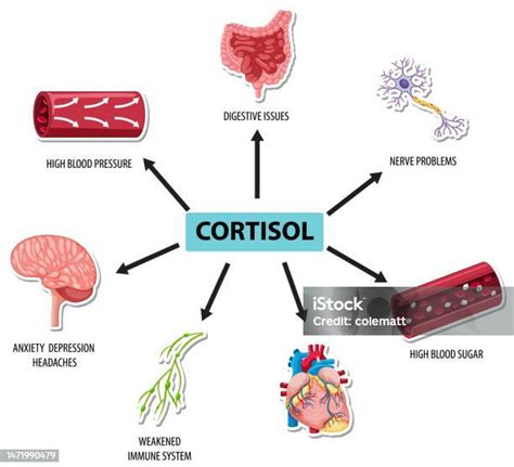 Kortisol ialah hormon stres utama dalam badan manusia.Ia ... - muktibox.com
