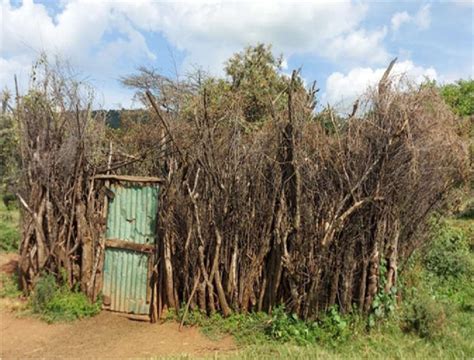 Kraal - Home - coolestguyplanet.net