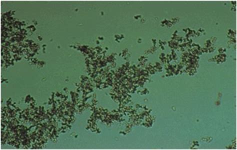 Kristal Amorf Fosfat - wintechmobiles.com