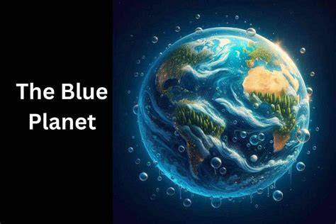 KS2 Science: Blue Planet Live - Marine life and … - raincitystudios.com