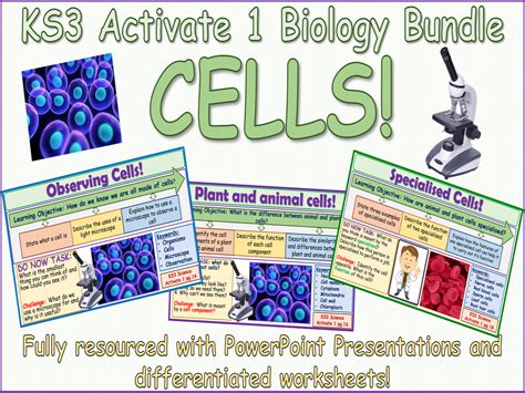 KS3 Cells - Teaching resources - Wordwall