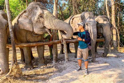 Kulen Elephant Forest | Siem Reap, … - raincitystudios.com