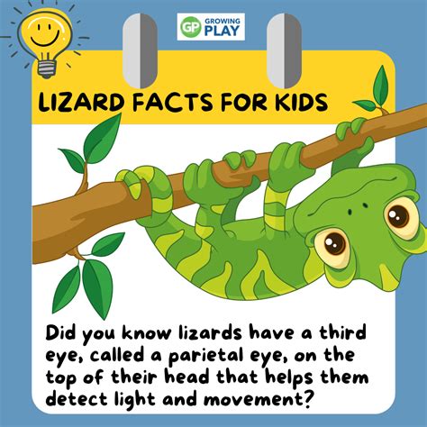 Kutai Facts for Kids - wintechmobiles.com