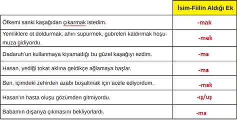 Kaşağı Metni Cevapları.