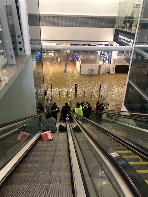 KabarPenumpang on Twitter: "Bandara Auckland, Selandia Baru, …